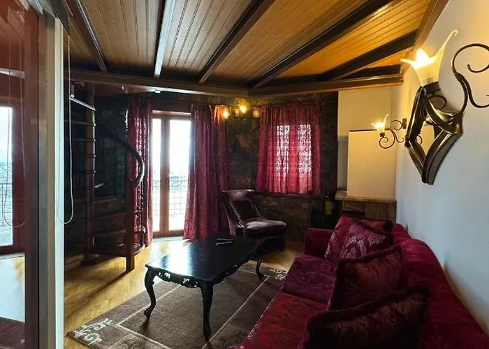 招待所 Montecristo 帕雷斯阿吉萨那