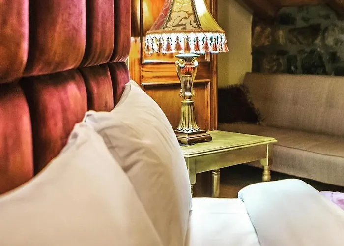 招待所 Montecristo 帕雷斯阿吉萨那