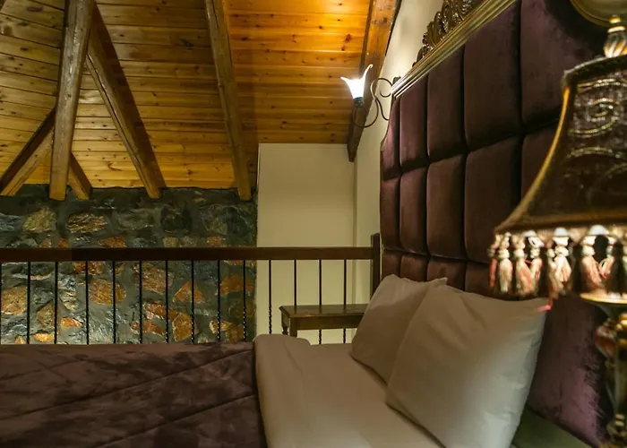 Montecristo 招待所 帕雷斯阿吉萨那