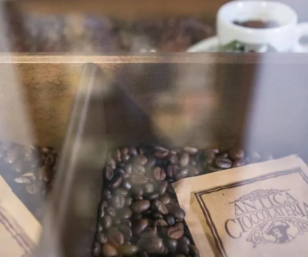 招待所 Montecristo 4*